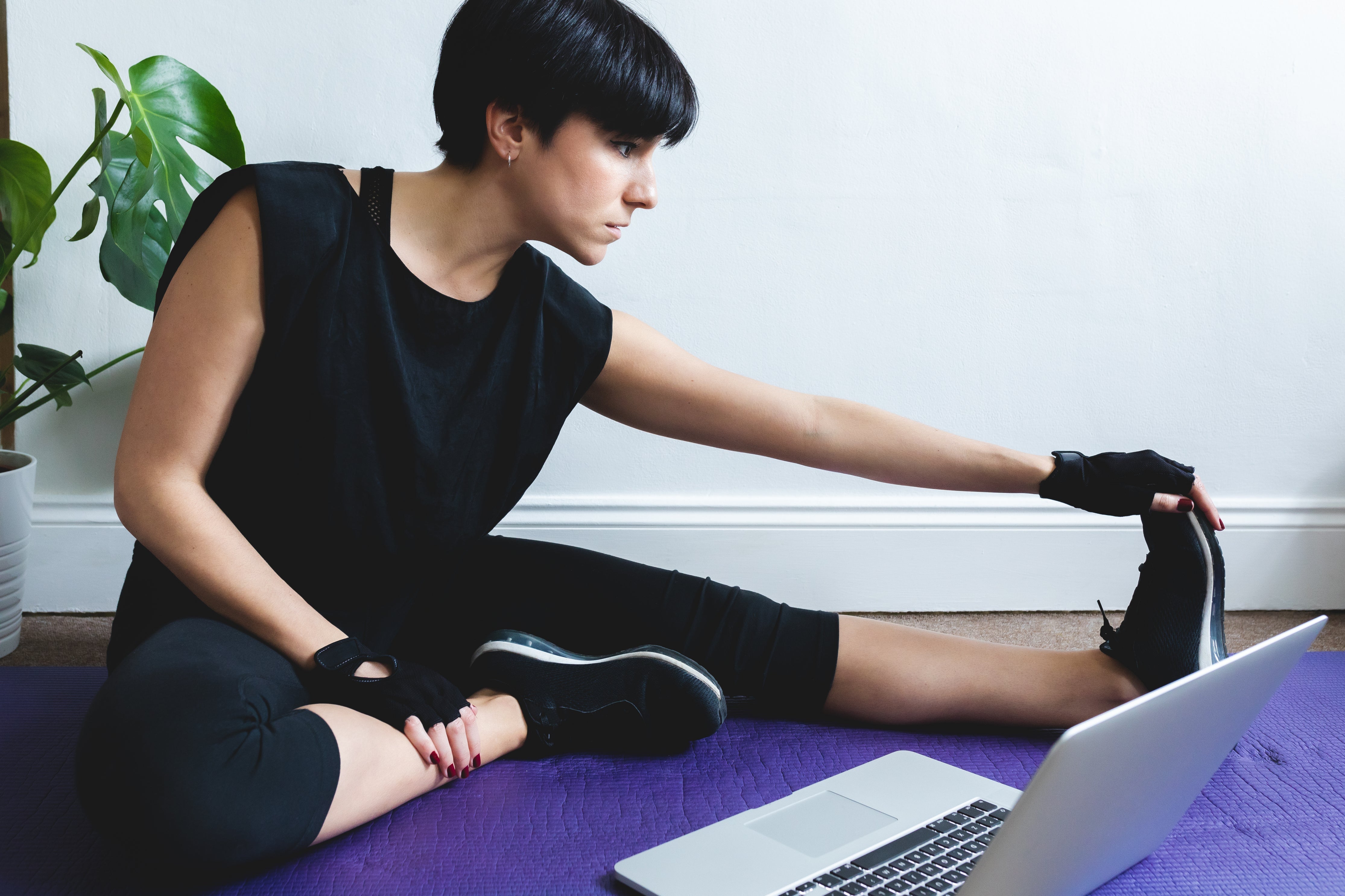 Pilates grip socks 