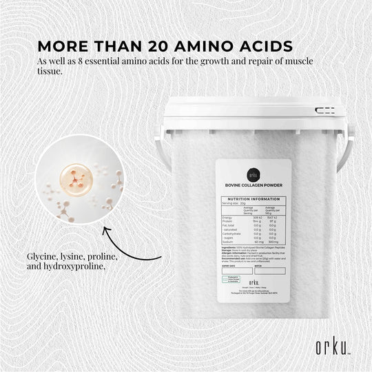 20 AMINO ACIDS 
