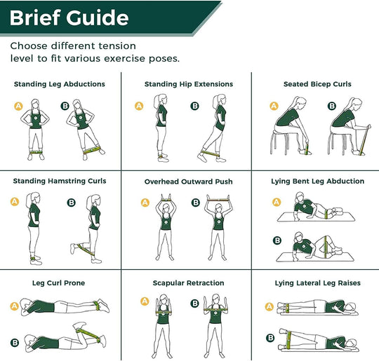 Brief guide 