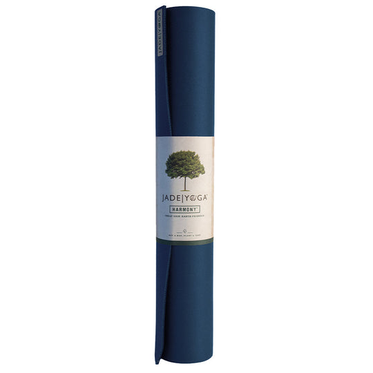 Blue mat for fitness 