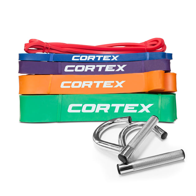Cortex 