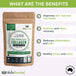 Collagen protein powder 