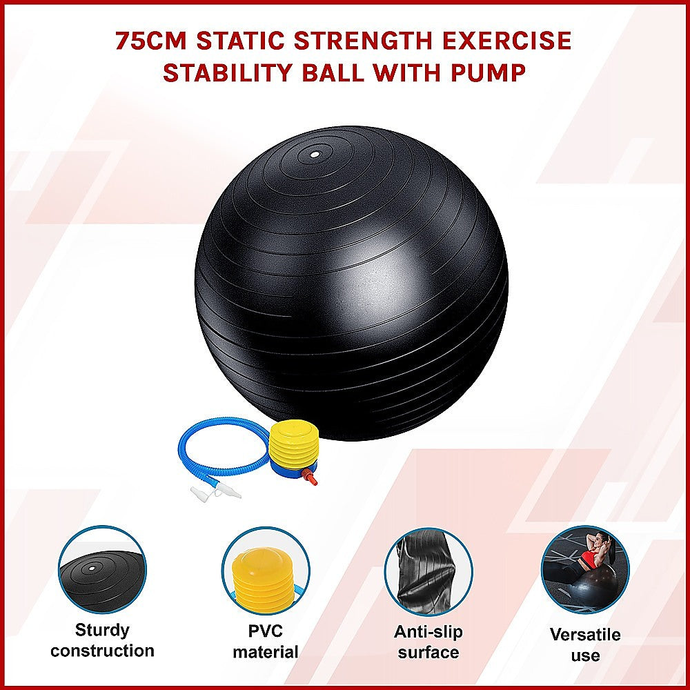 Stability ball with pump 