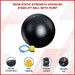 Stability ball with pump 