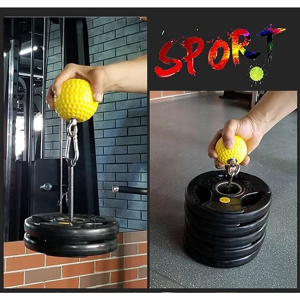 Sport