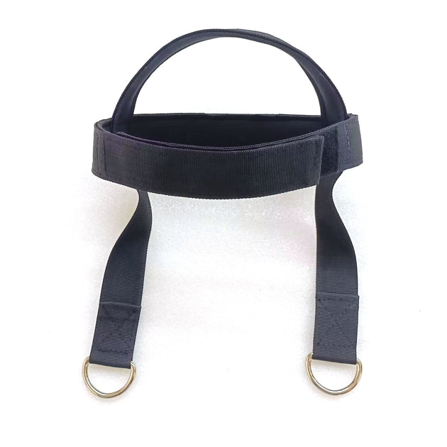 harness for neck 